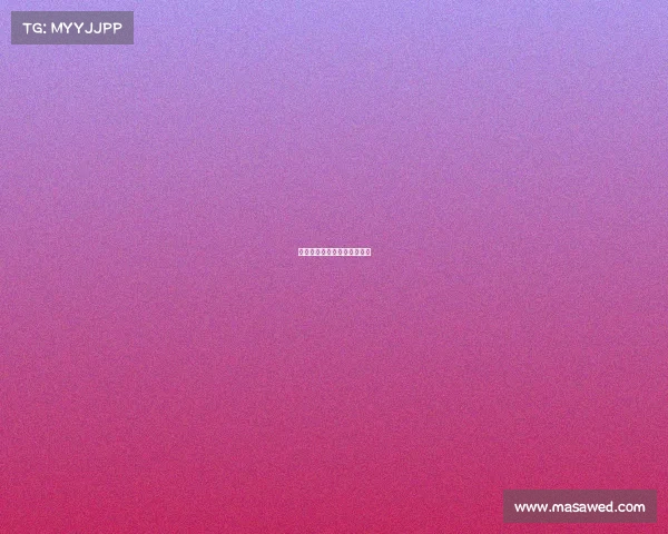 中国赛事冠军车中国冠军车队