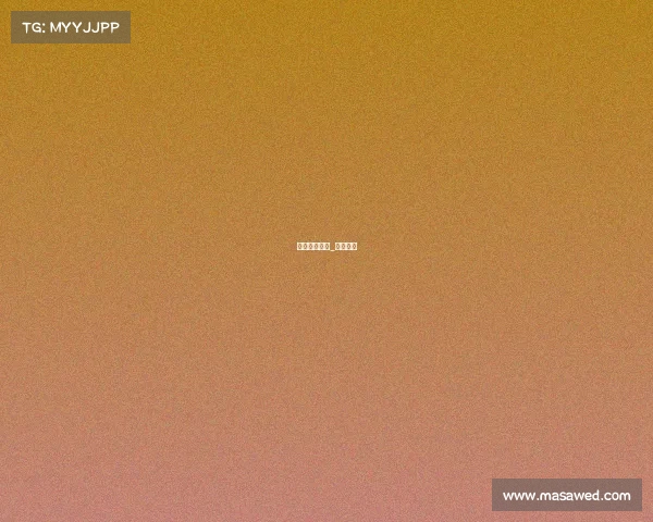 佛山拳赛赛事_佛山拳种